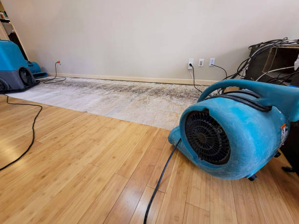 Professional Water Extraction technician working in Estacada, OR